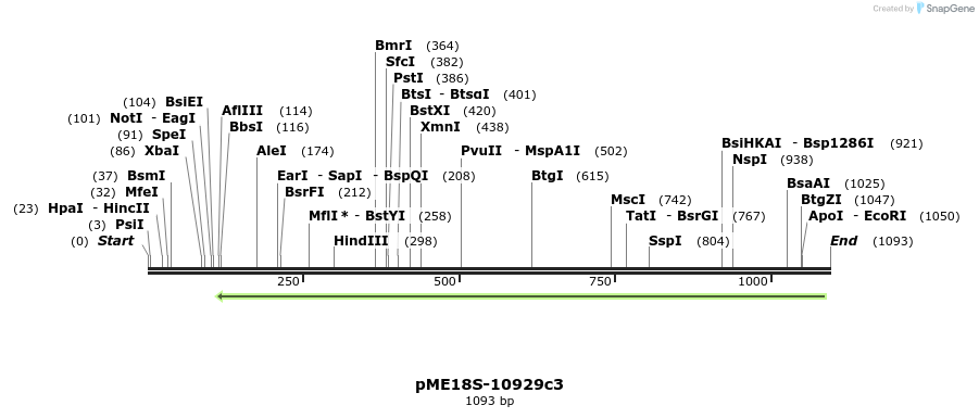 82469_map