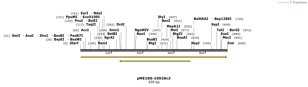 82470_map