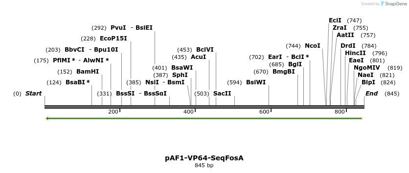 82474_map