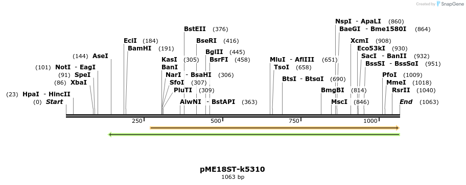 82475_map