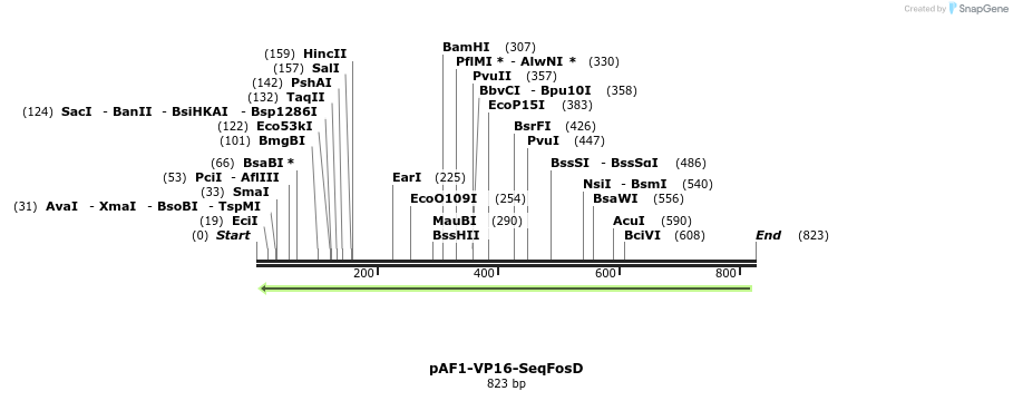 82480_map