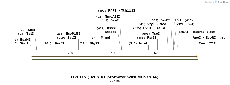82487_map