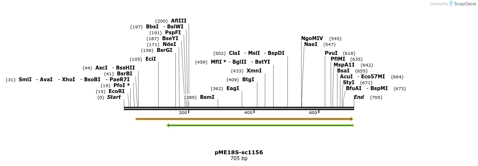82491_map
