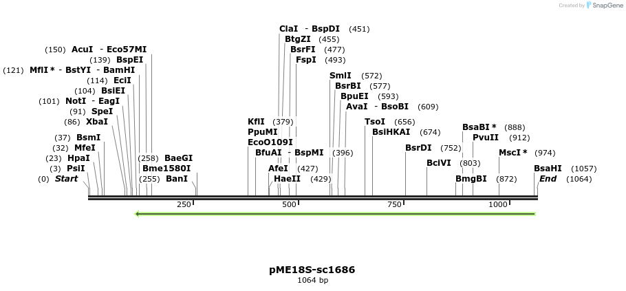 82494_map
