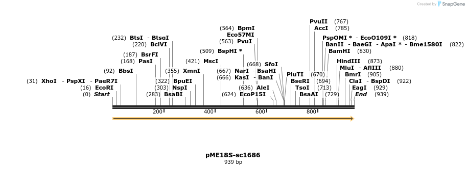 82497_map