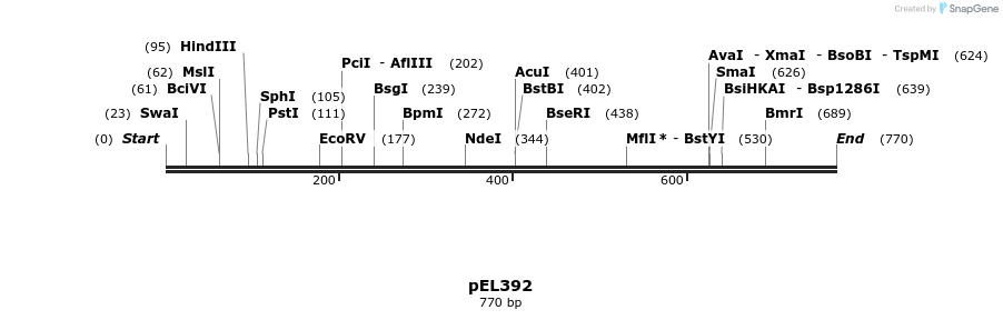 82502_map