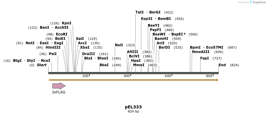 82503_map