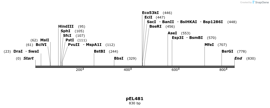 82504_map
