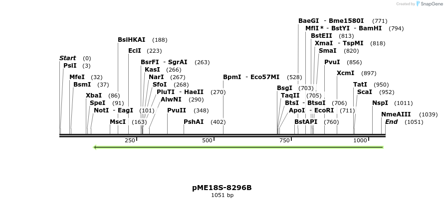 82508_map
