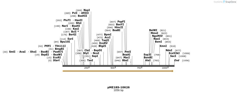 82516_map