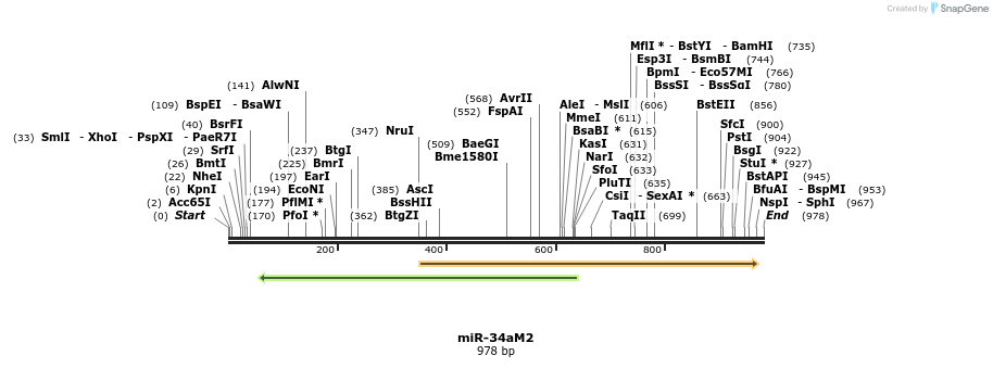 82540_map