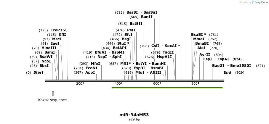 82544_map