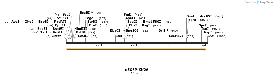82564_map