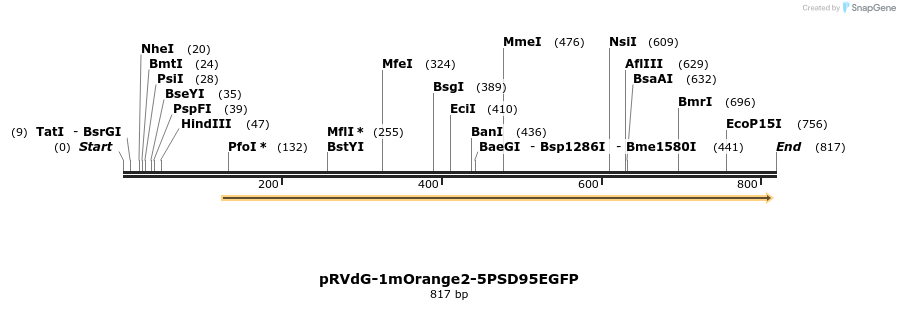 82582_map