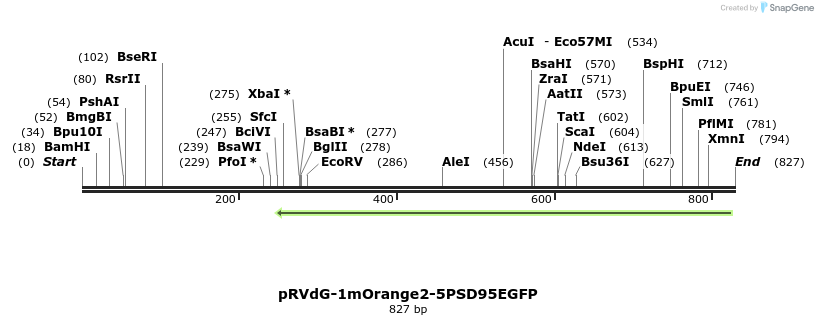 82583_map