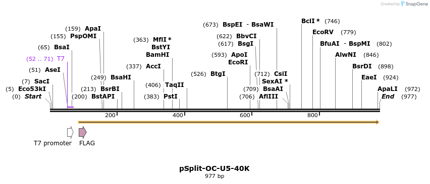 82588_map