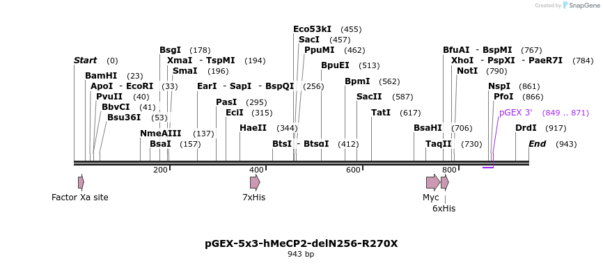 82591_map