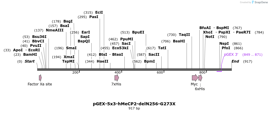 82592_map