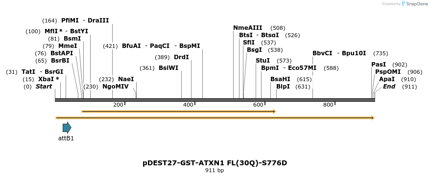 82597_map