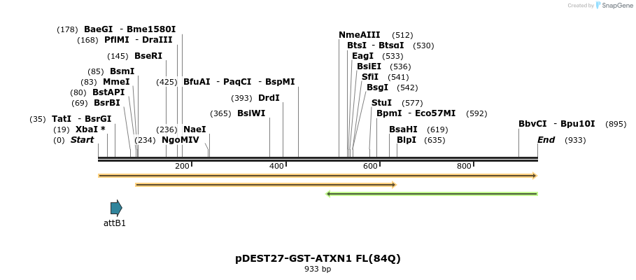 82598_map