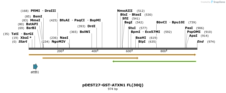 82599_map