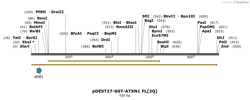 82600_map