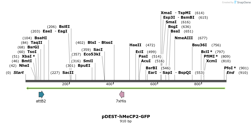 82601_map