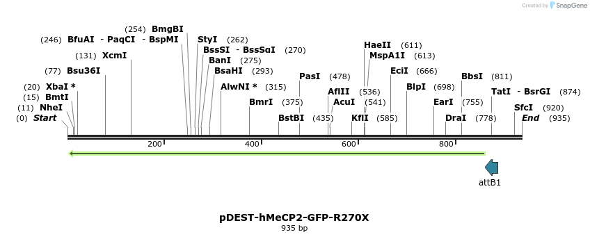 82607_map