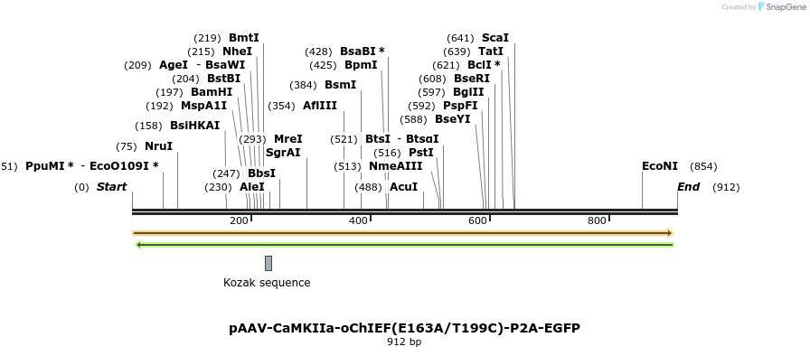 82616_map