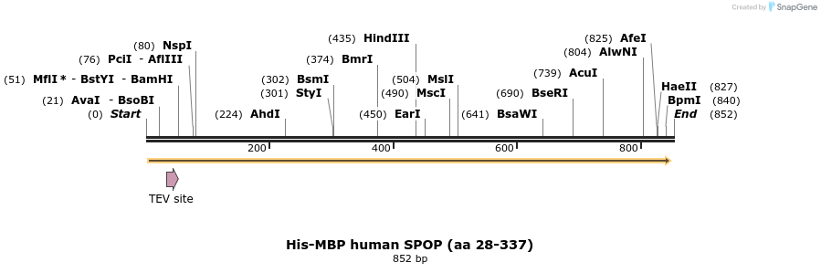82621_map