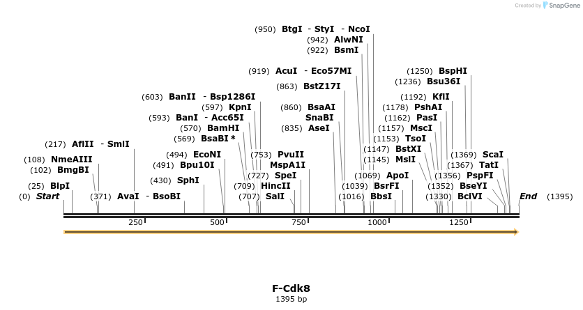 8263_map