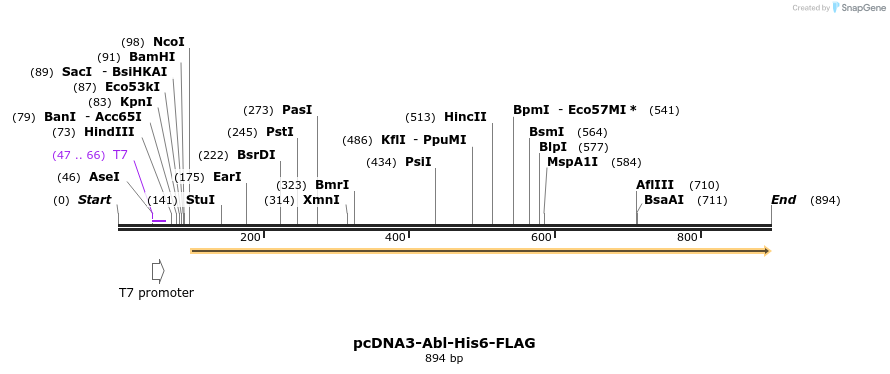 82651_map