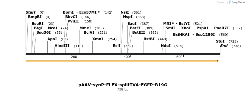 82655_map