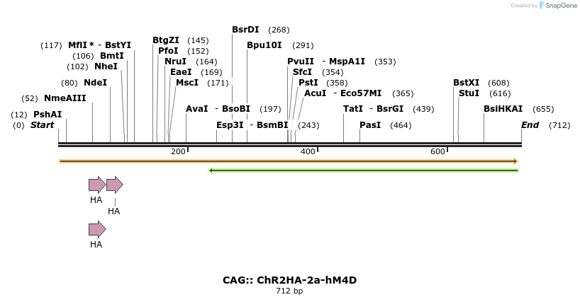 82678_map