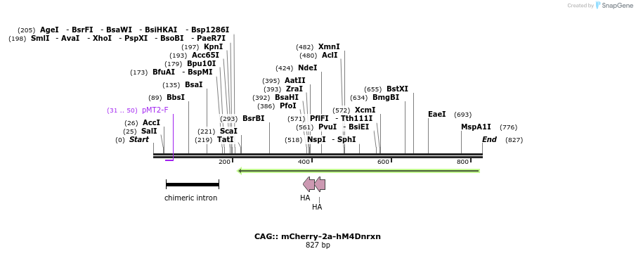 82681_map