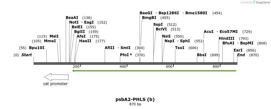 82689_map
