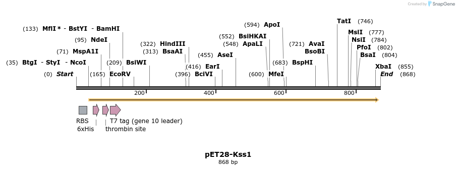 82705_map
