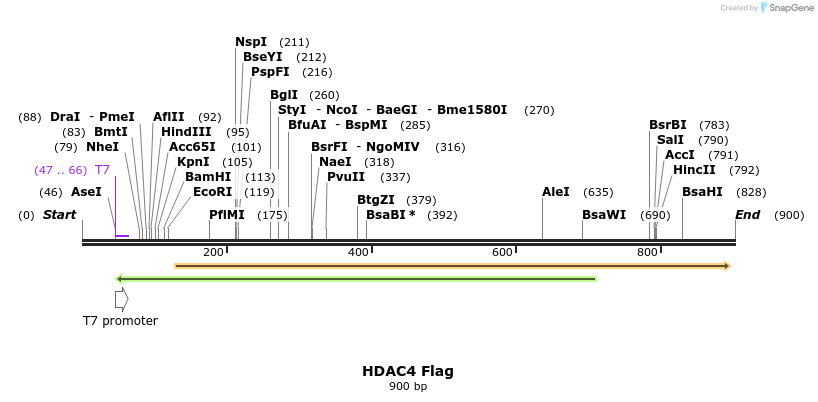 82708_map