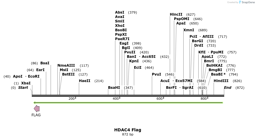 82709_map