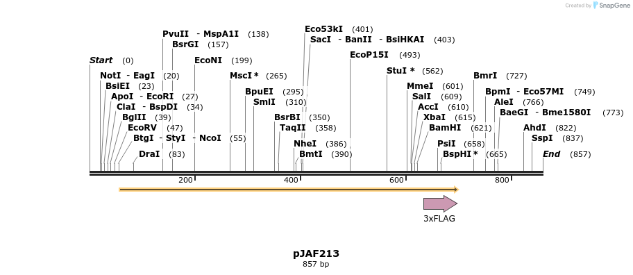 82710_map