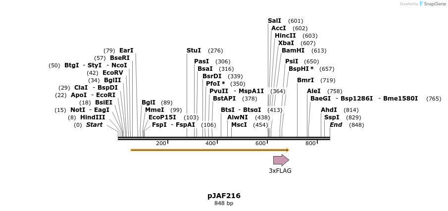 82712_map