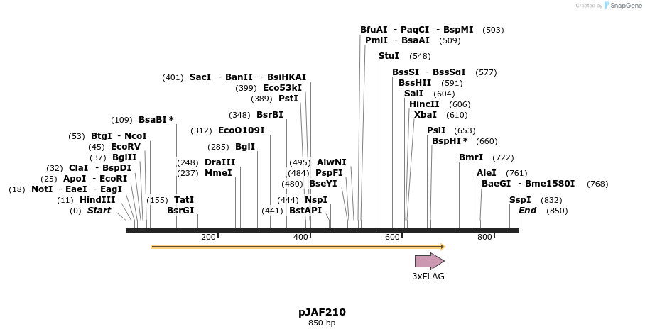 82713_map