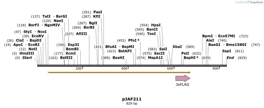 82714_map