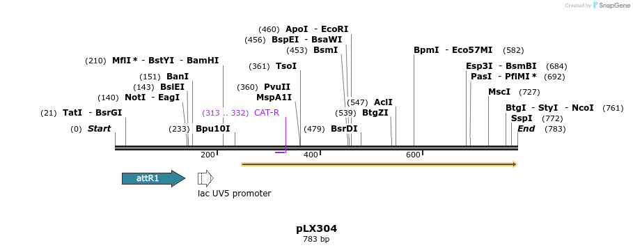82716_map