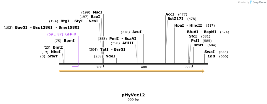 82717_map