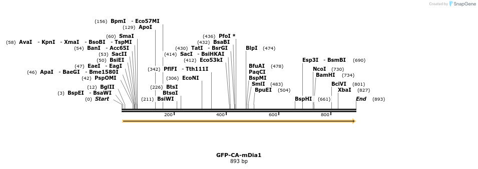 82718_map