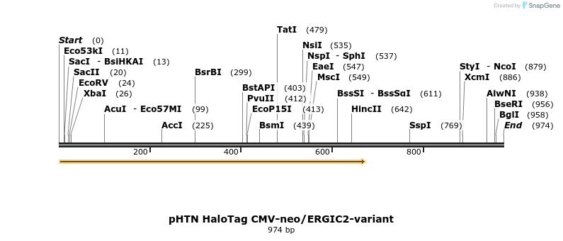 82719_map