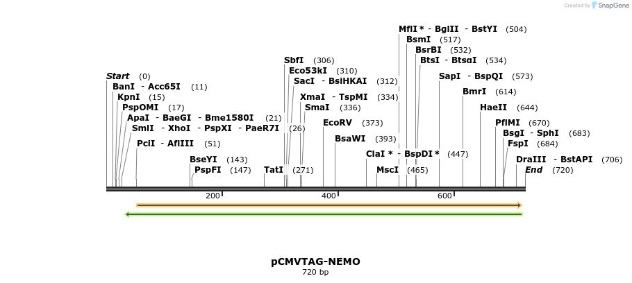82722_map