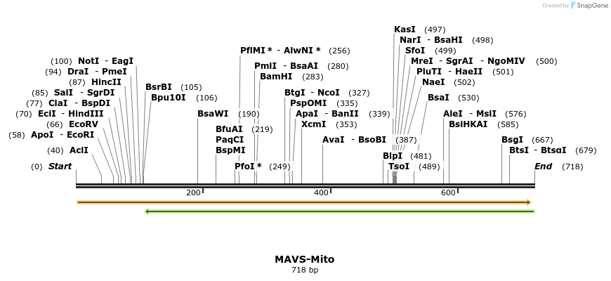 82725_map
