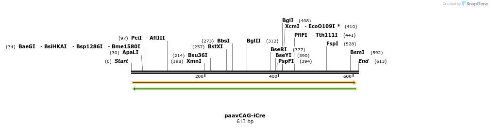 82733_map